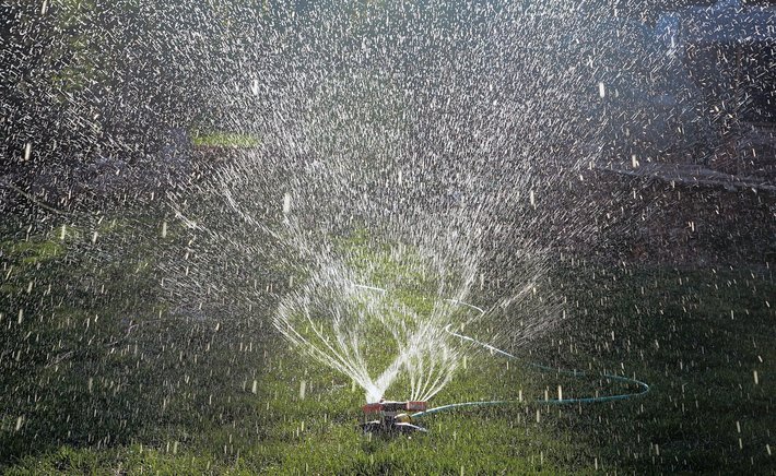 Five Lawn Habits That Quietly Waste Water and How to Fix Them